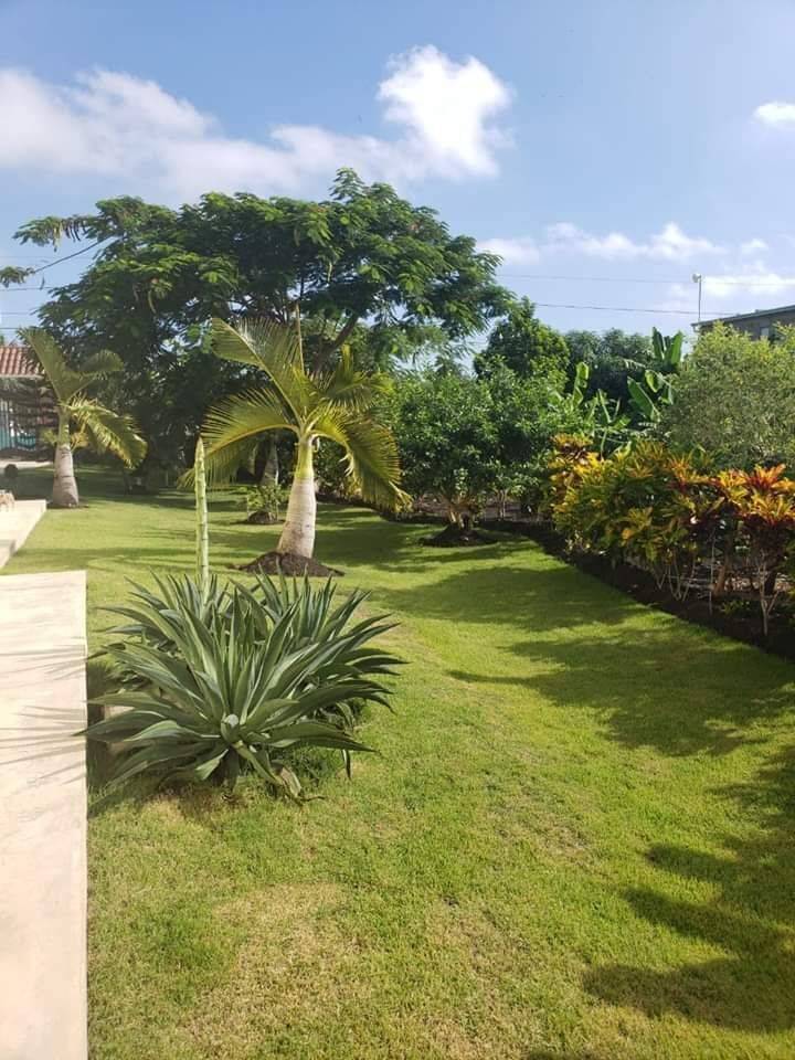 CASA MANSIÓN EN MOCA