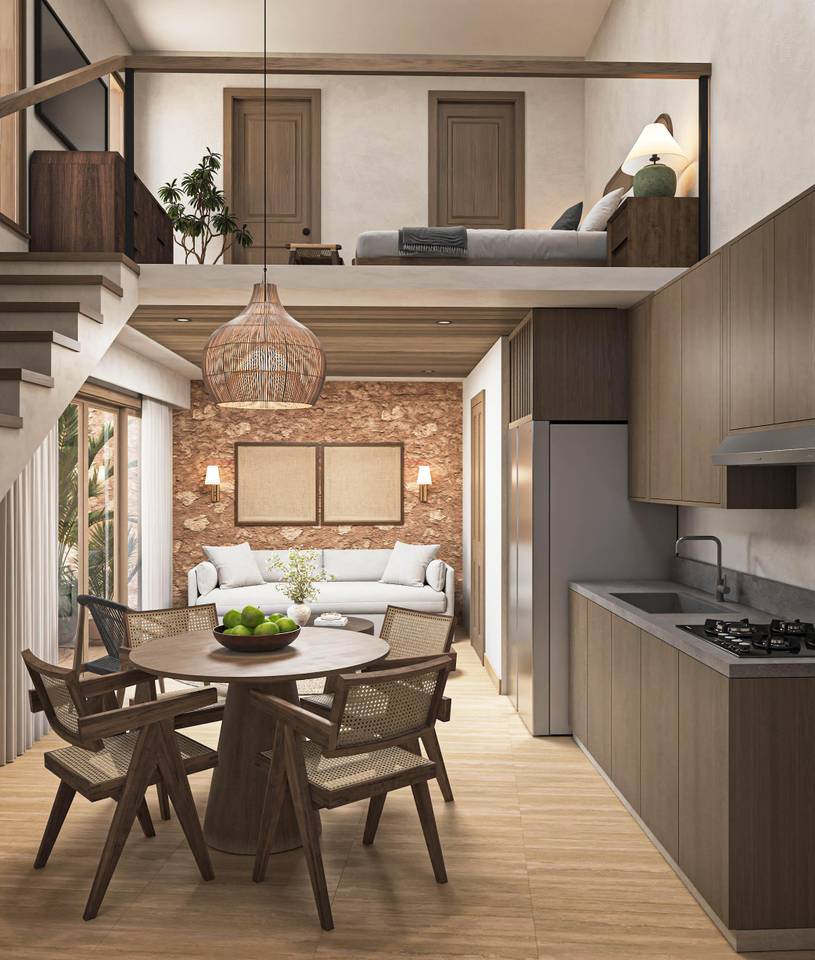 Apartment Project in the Colonial Zone 3