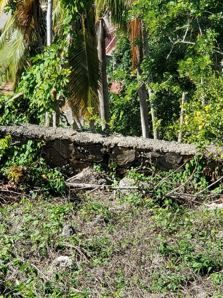 Ocean View lot in Las Terrenas ( last chance!)