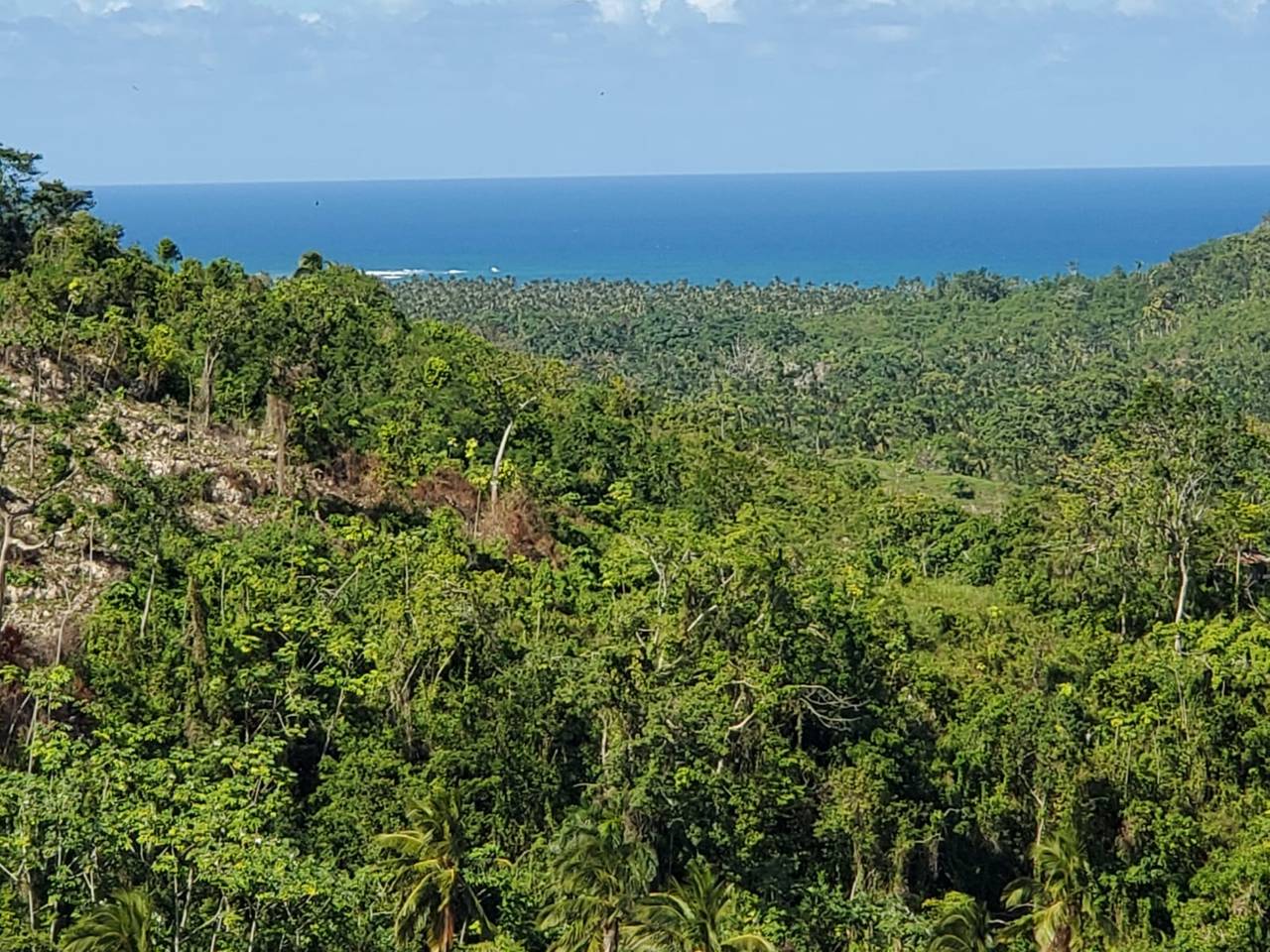 Ocean View lot in Las Terrenas ( last chance!)