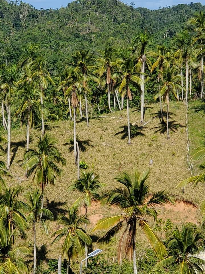 Ocean View lot in Las Terrenas ( last chance!)