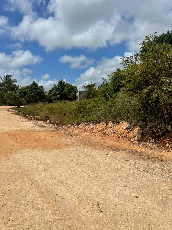 Land Plot 5 Minutes from the Beach for Sale in Samaná 4