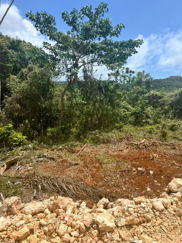 Land Plot 5 Minutes from the Beach for Sale in Samaná 2