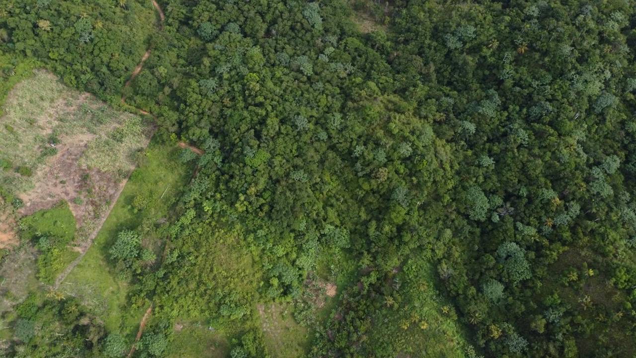 Venta de solar en samana