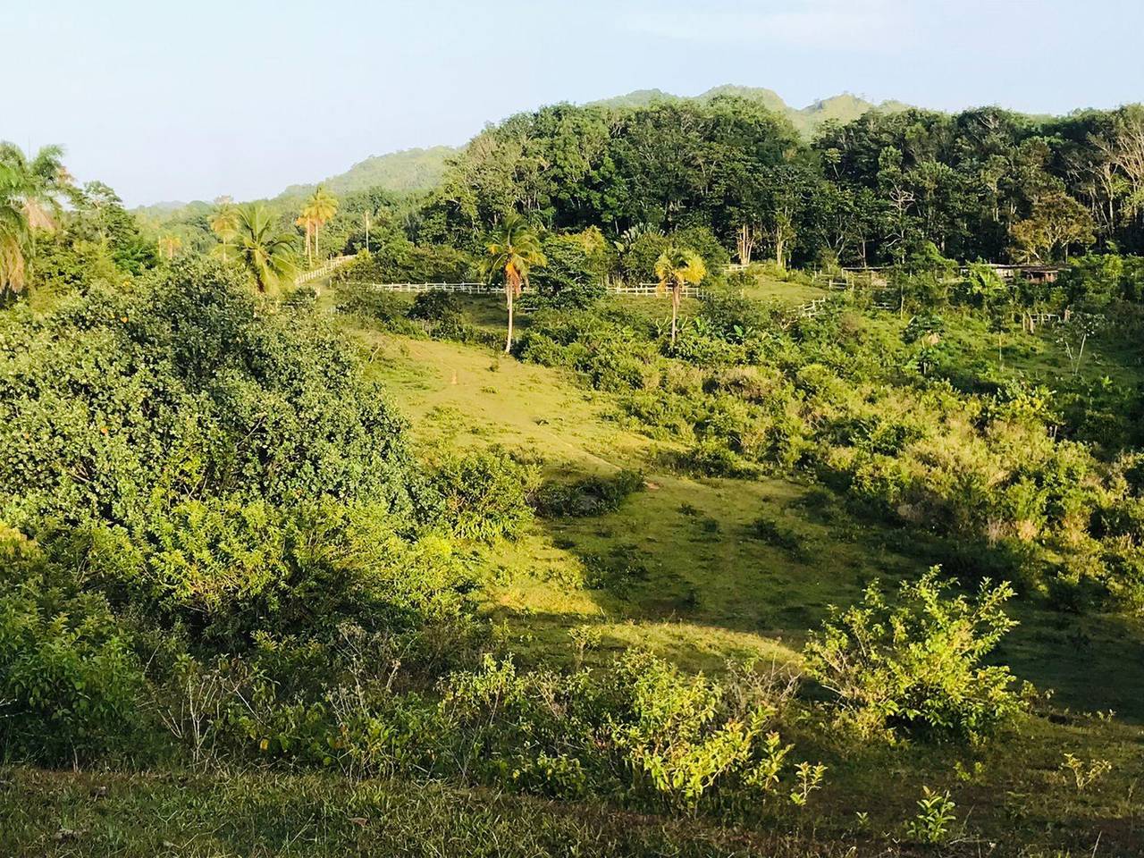 Venta de solar en samana