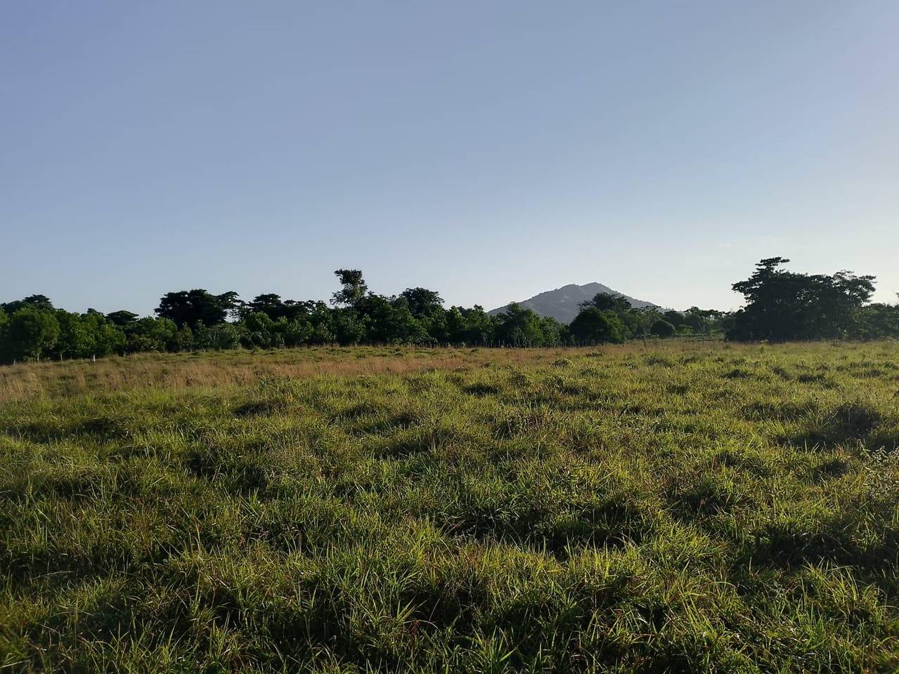 Terreno Turístico en Venta en Miches – Ideal para Proyecto Ecológico o Resort