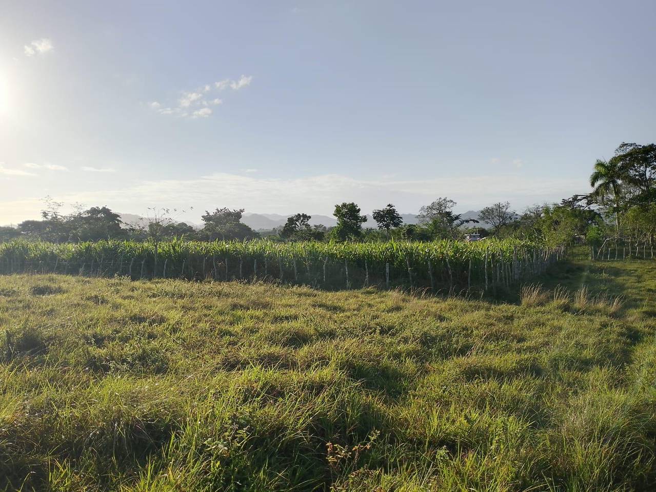 Terreno Turístico en Venta en Miches – Ideal para Proyecto Ecológico o Resort