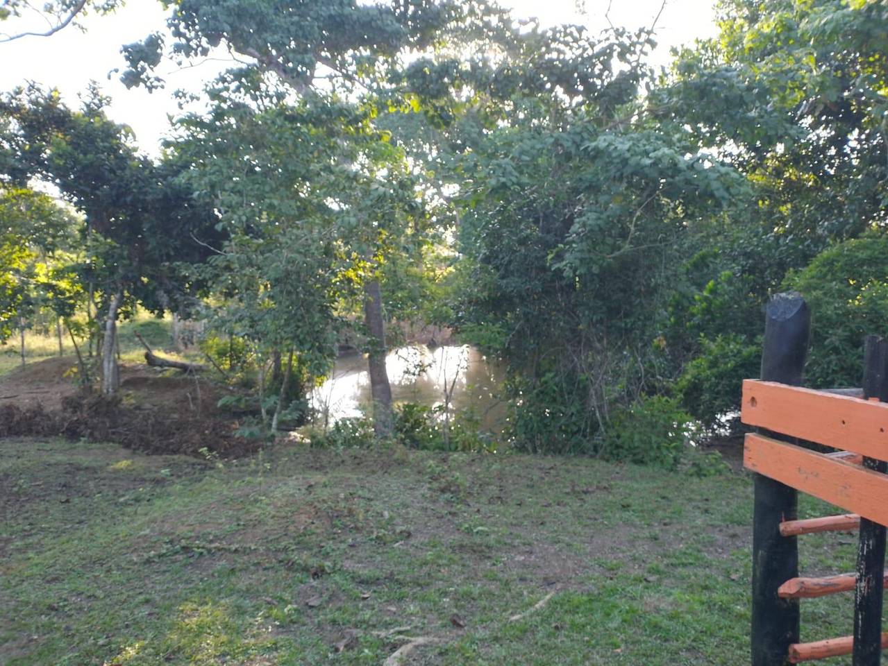 Terreno Turístico en Venta en Miches – Ideal para Proyecto Ecológico o Resort