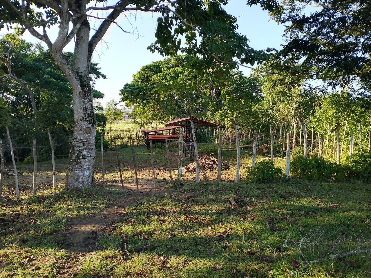Terreno Turístico en Venta en Miches – Ideal para Proyecto Ecológico o Resort