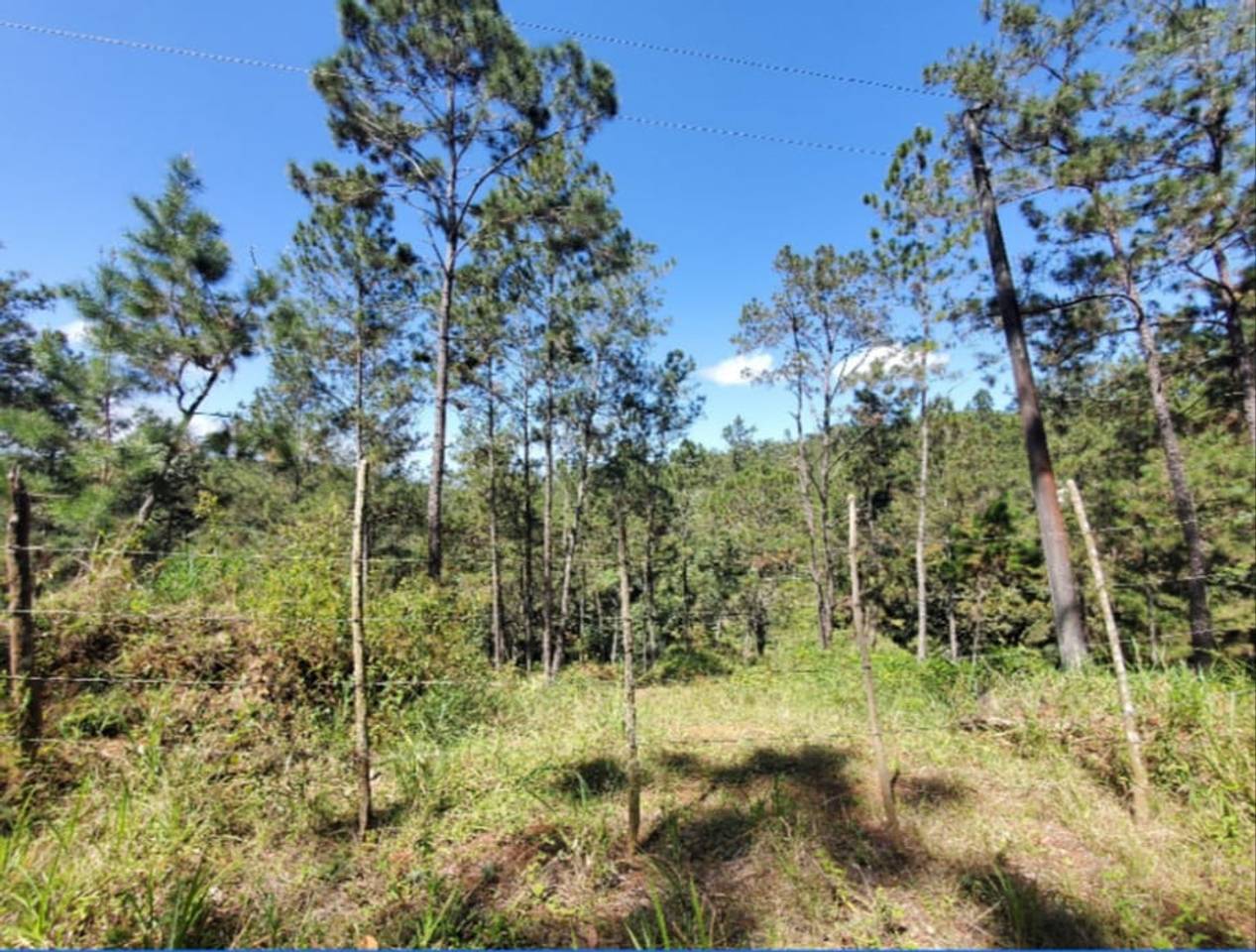 Venta Solar en Jarabacoa