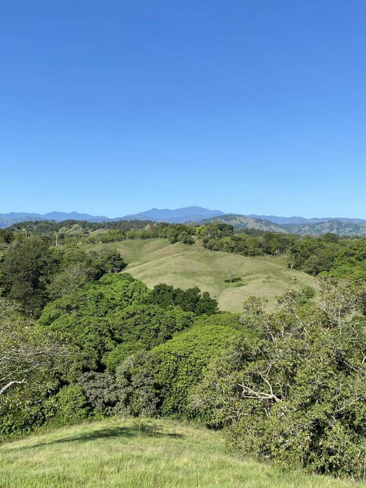Venta de Solares en Proyecto Ecológico de Jarabacoa