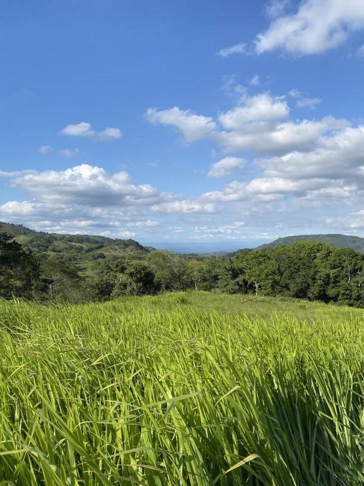 Venta de Solares en Proyecto Ecológico de Jarabacoa