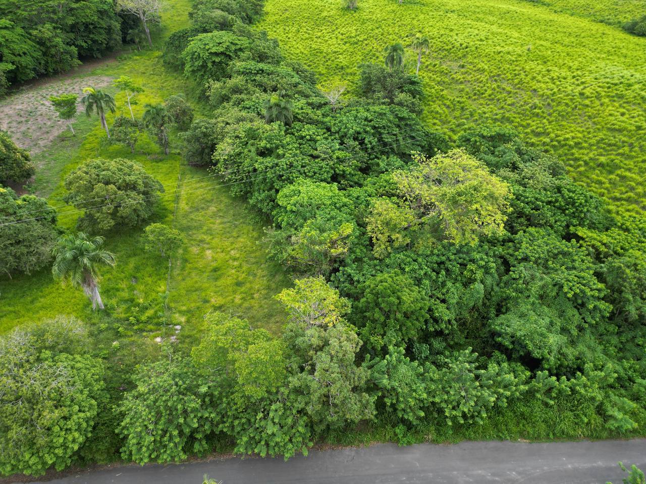 FOR SALE - Countryside Land - Nisibón - 2,435.89 m2