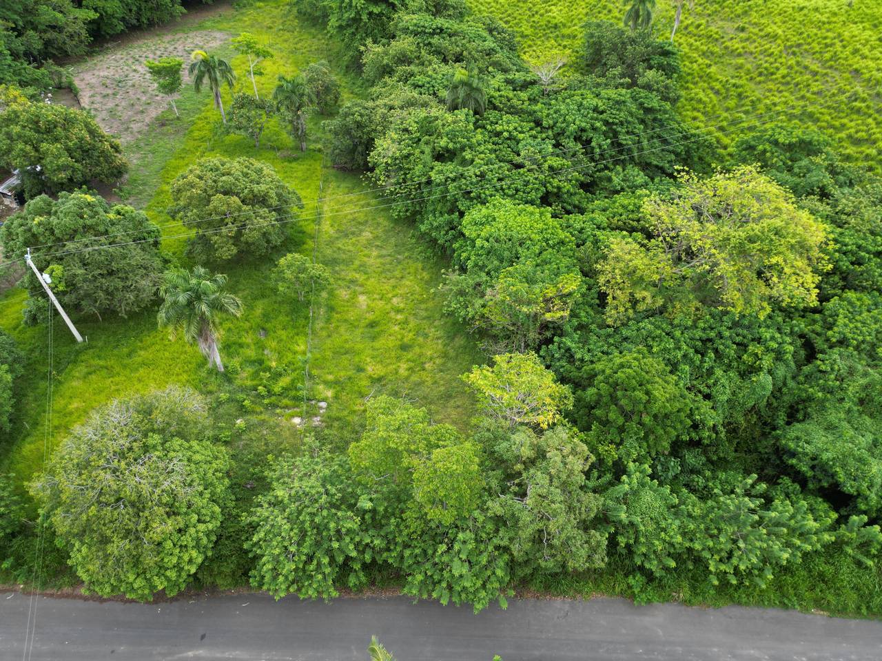 FOR SALE - Countryside Land - Nisibón - 2,435.89 m2 4