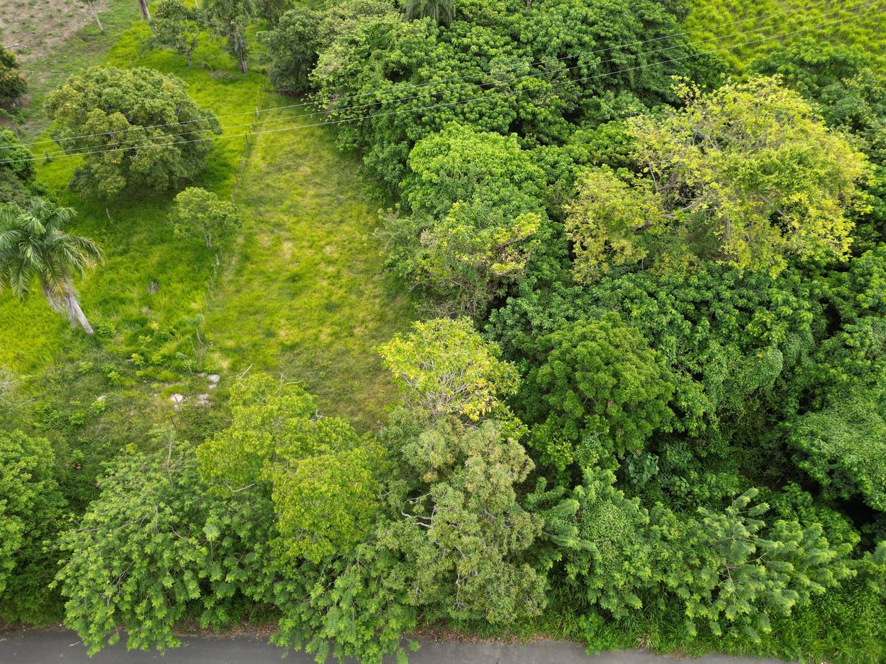 Terrenos en venta en Higüey