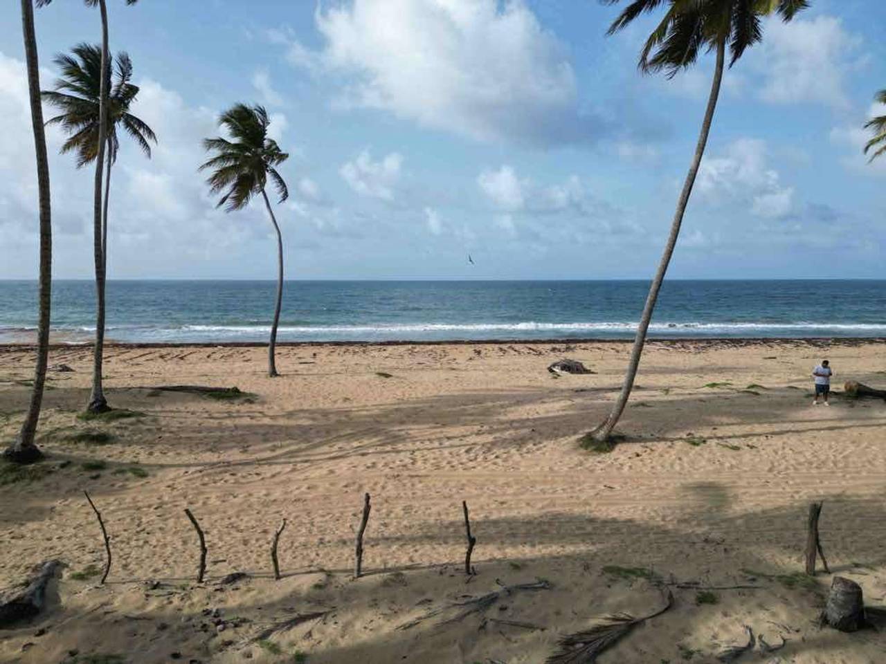 MICHES - Beach Front Lot - Land ON THE BEACH 2