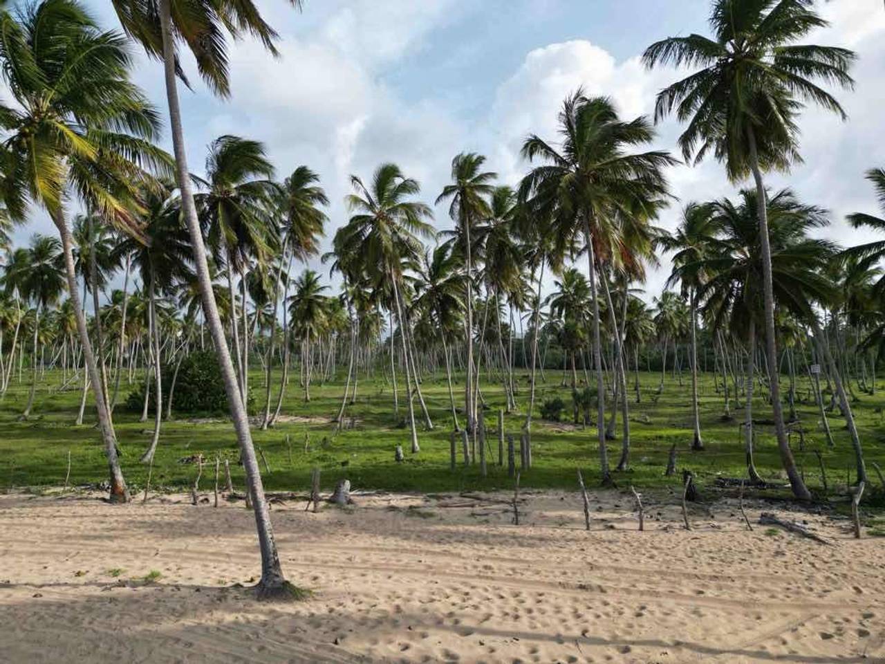 MICHES - Beach Front Lot - Land ON THE BEACH 4