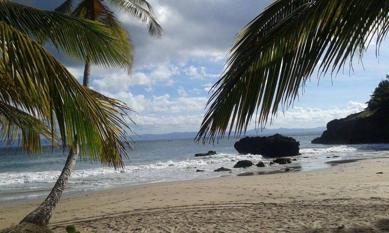 Unique Opportunity in Samana - Beachfront. 3