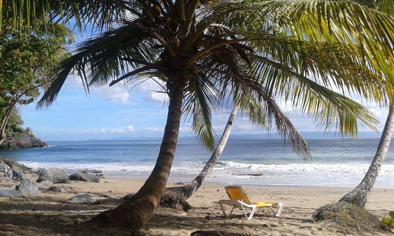 Unique Opportunity in Samana - Beachfront. 2