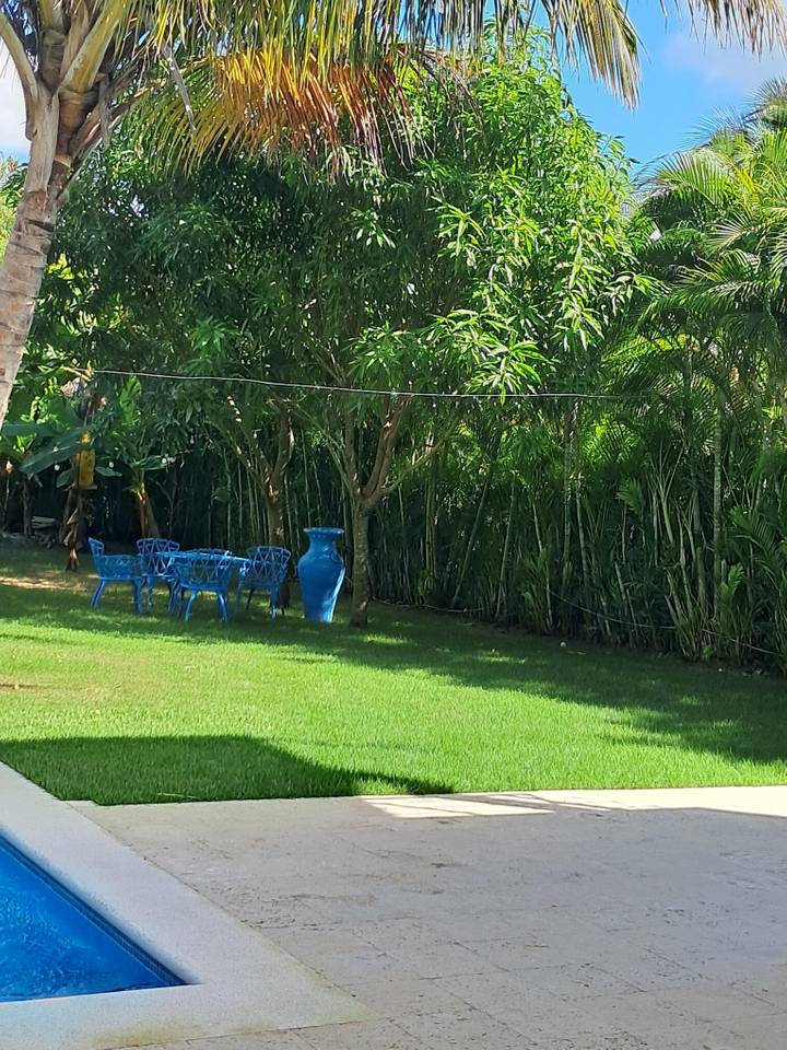 Luxury Villa Just Steps from the Beach & Beach Club in Playa Nueva Romana, Dominican Republic 3