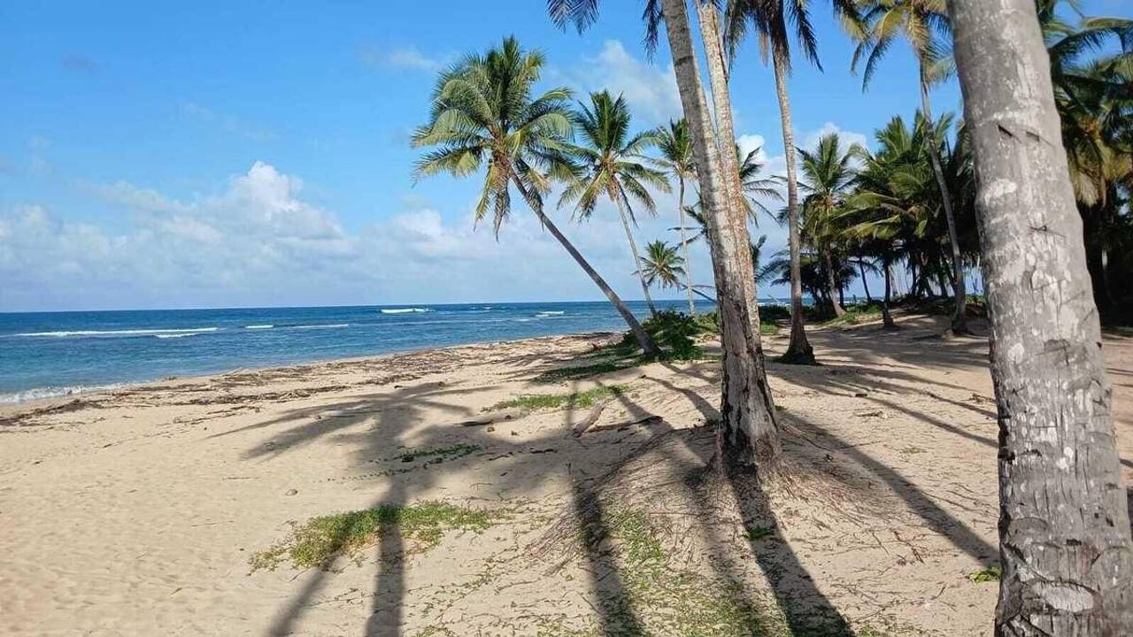 Terreno en venta a USD$260 el metro en, Punta Cana.