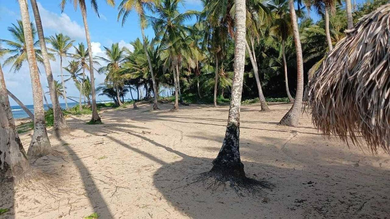 Terreno en venta a USD$260 el metro en, Punta Cana.