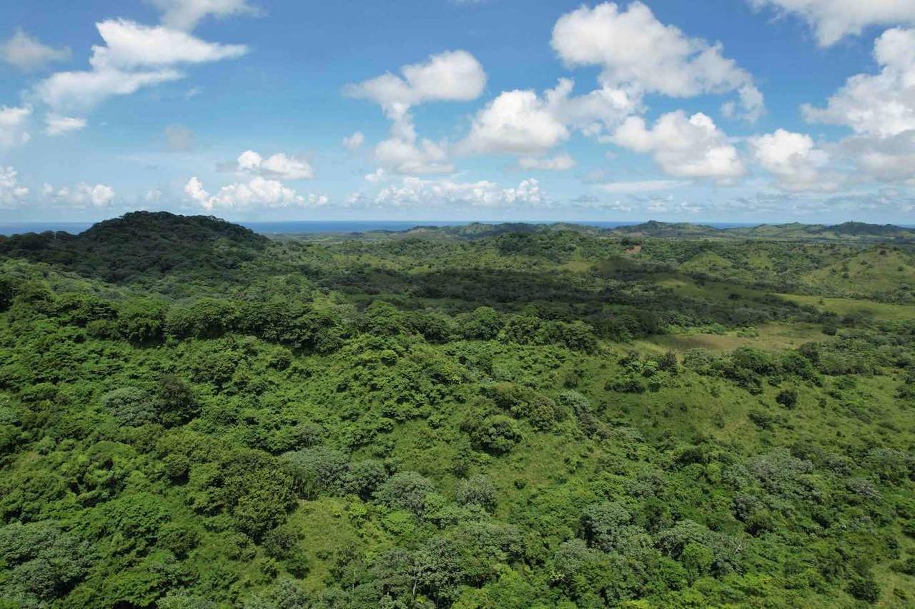 Estates for sale in Higüey, Lagunas De Nisibón