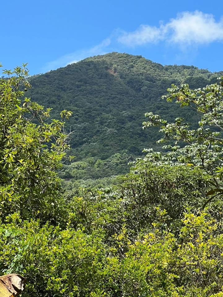 Terreno en venta en Villa Altagracia