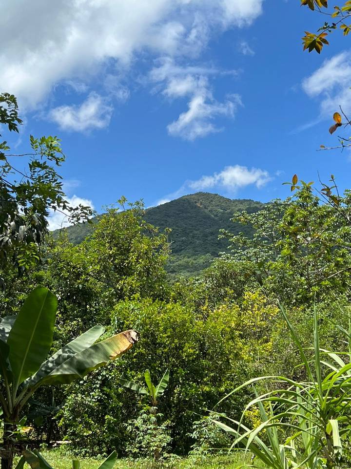 Terreno en venta en Villa Altagracia