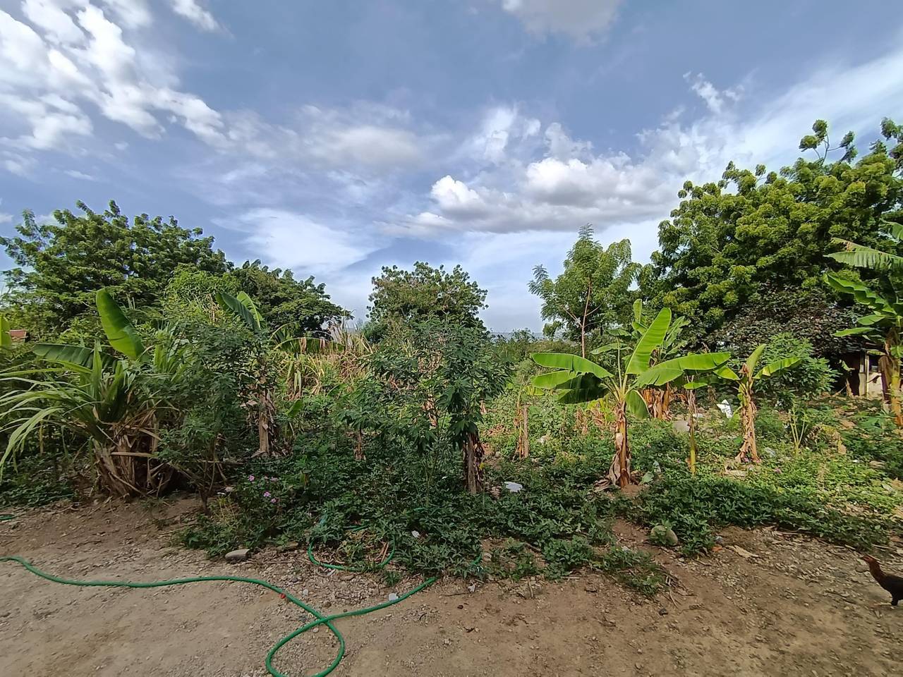 Venta de Solar, Ubanización Paraiso del Sur, Avenidad Yapurt Dumit