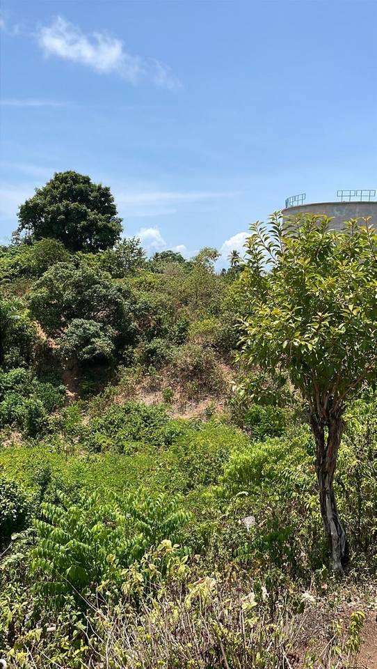 Terreno Turístico para Inversión en Samaná | 7,445 m²