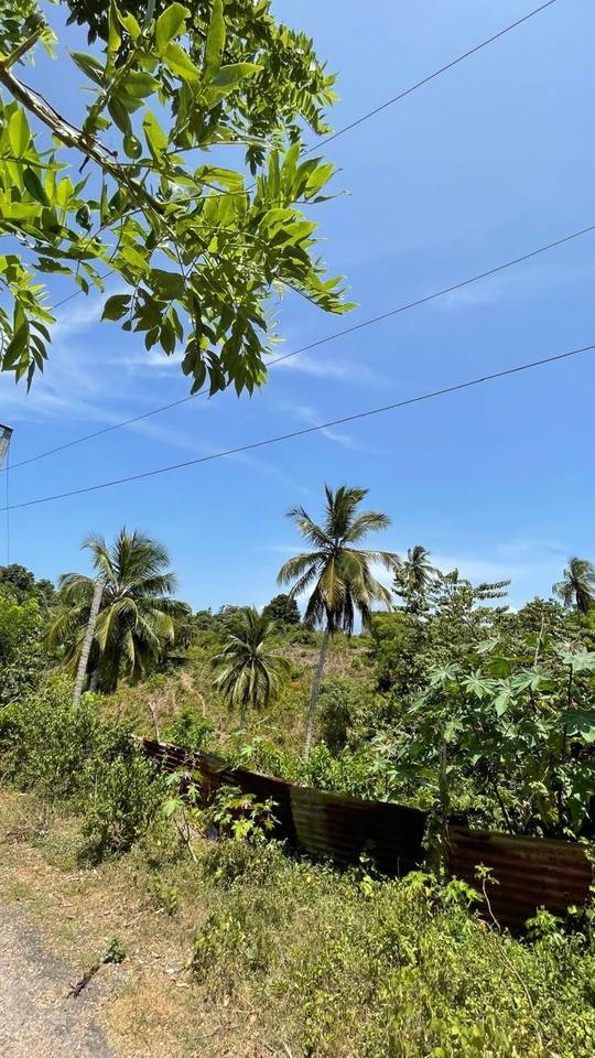 Terreno Turístico para Inversión en Samaná | 7,445 m²