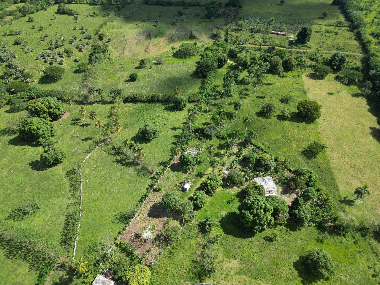 Fincas en venta en Higüey