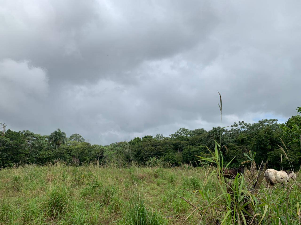 Venta Solar en Jarabacoa