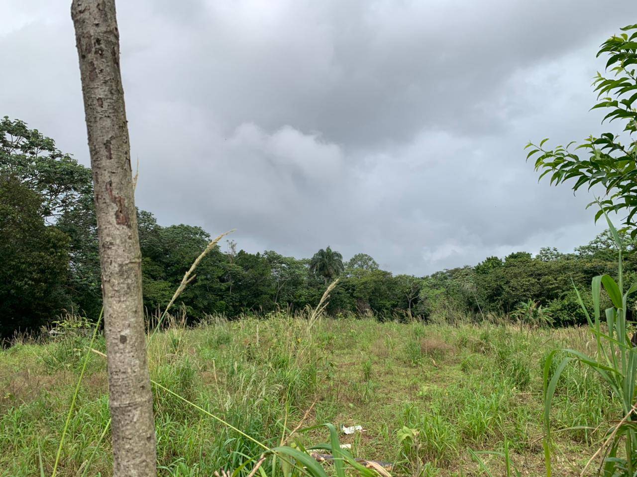 Venta Solar en Jarabacoa
