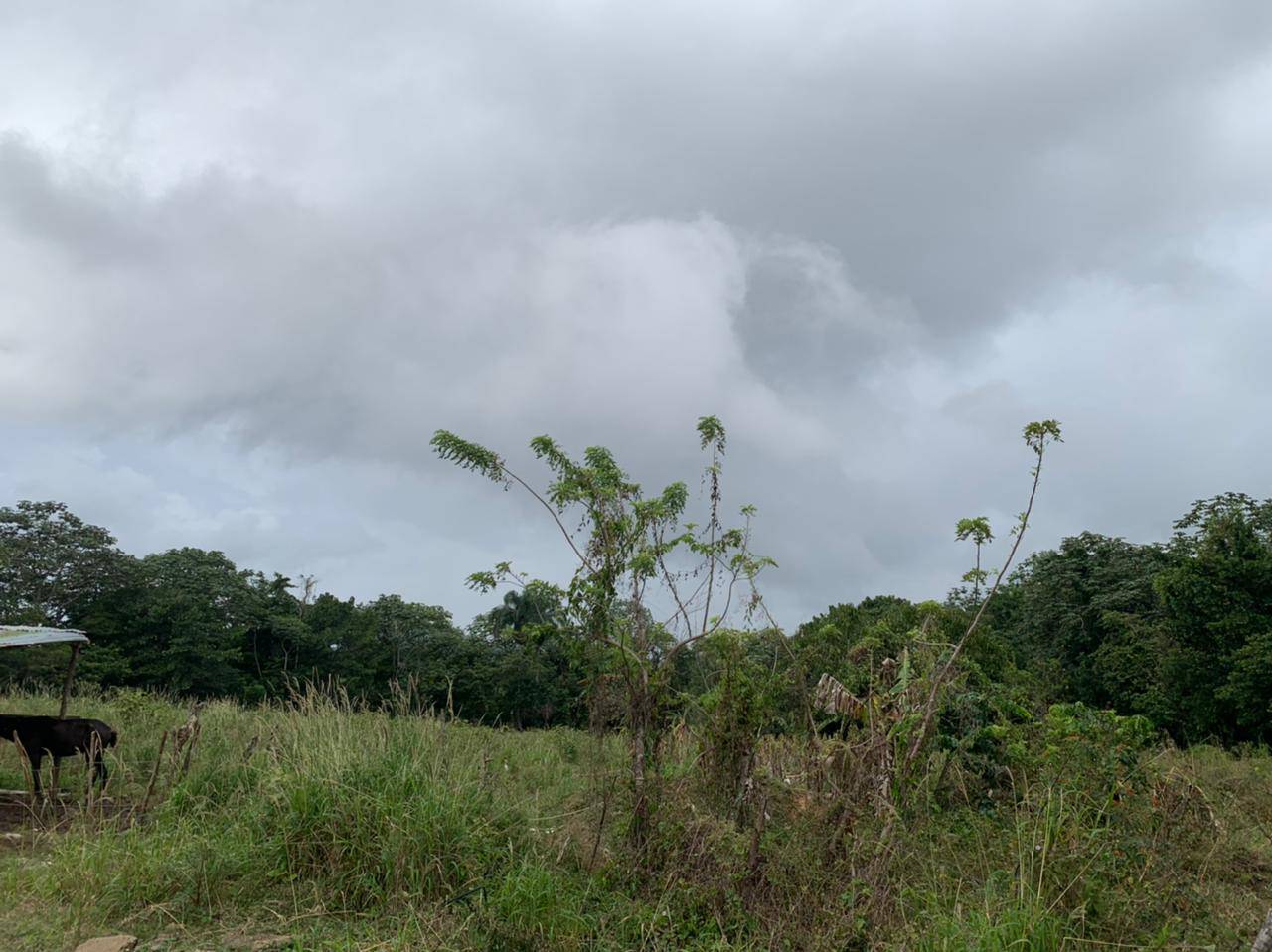 Venta Solar en Jarabacoa