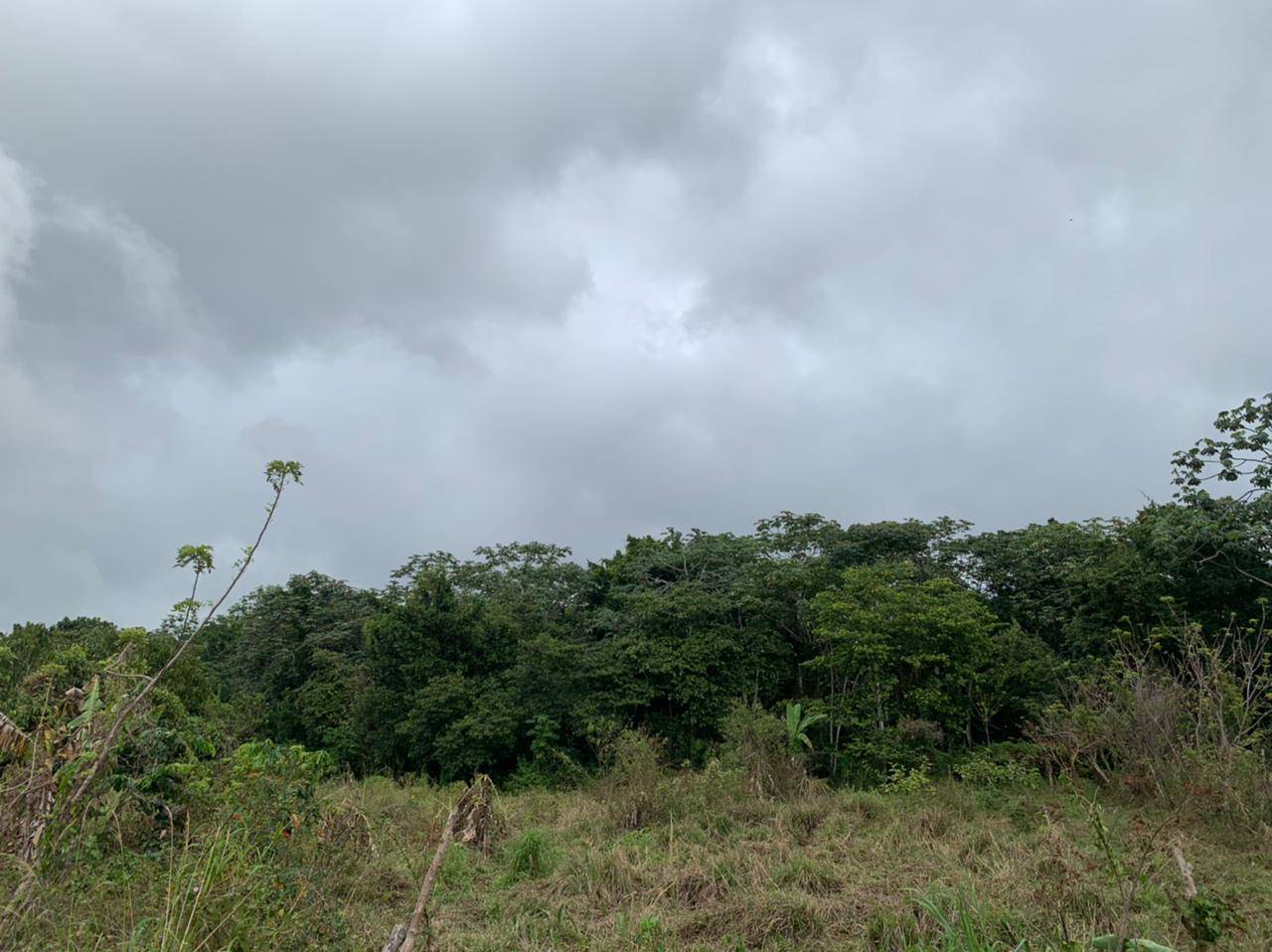 Venta Solar en Jarabacoa
