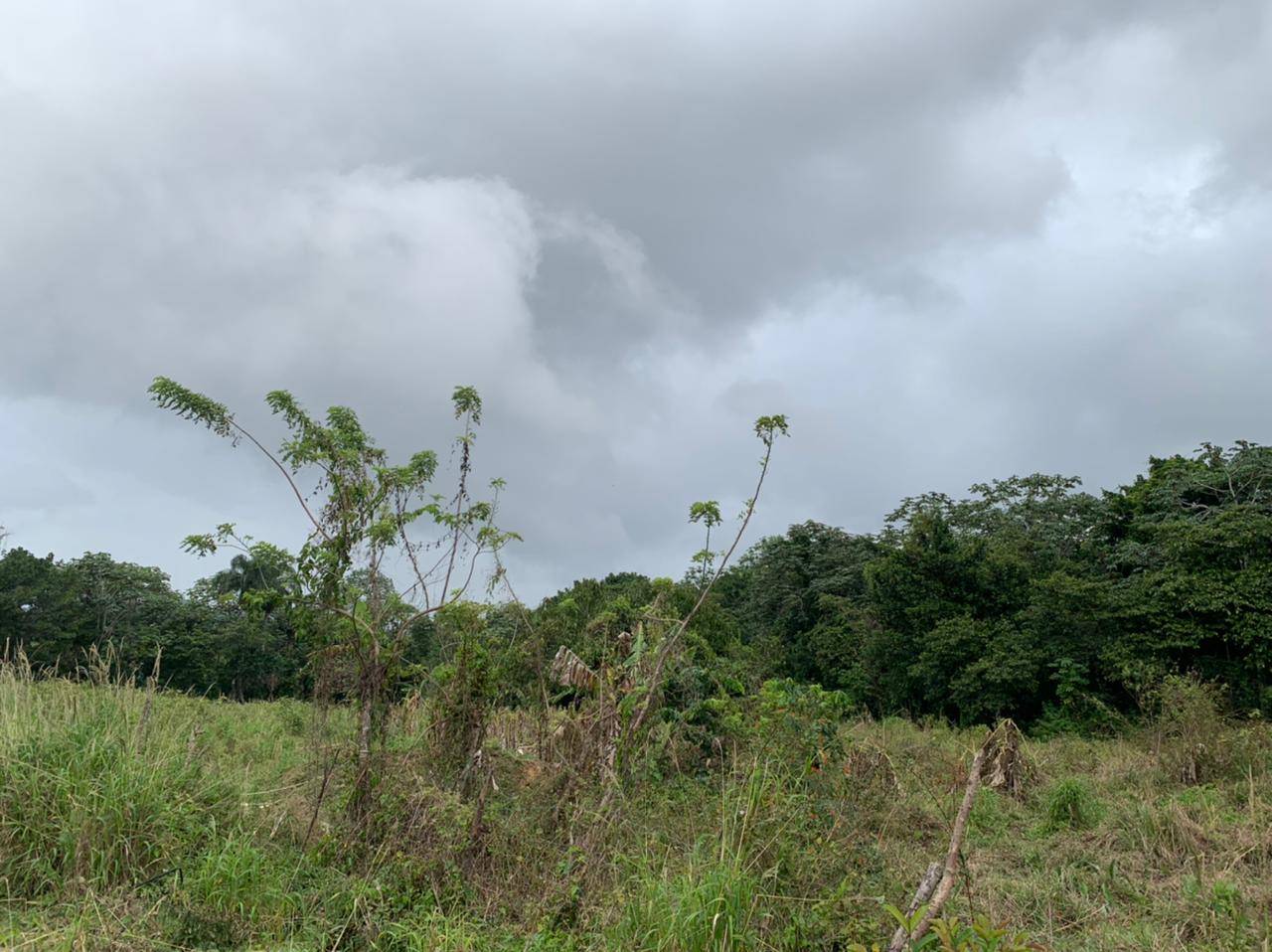 Venta Solar en Jarabacoa