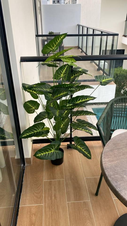 Apartamentos en venta en Punta Cana, 40 m²