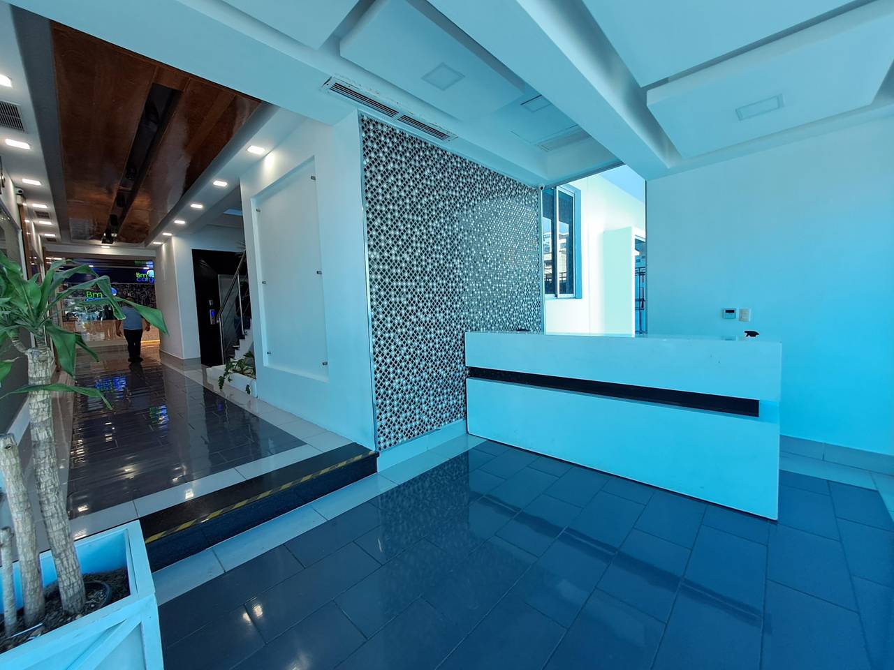 Locales Comerciales en venta en Santo Domingo D.N., 251 m²