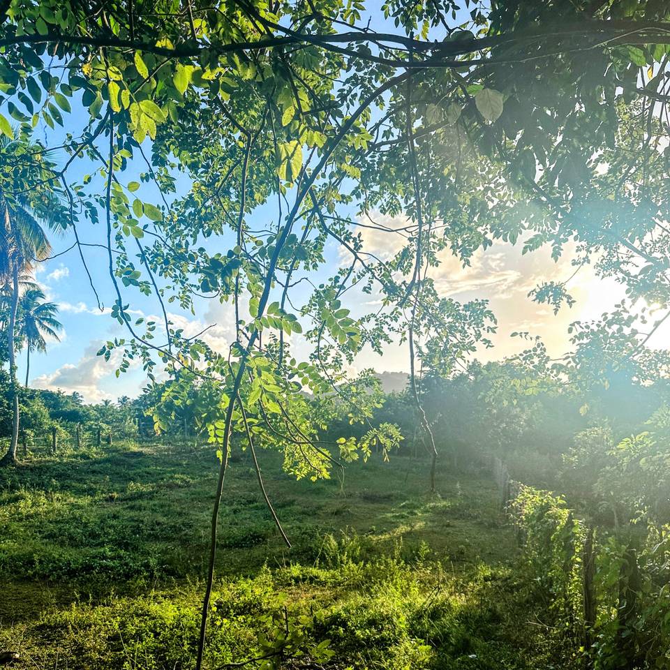Plots for Sale in Las Galeras, Samaná | Land Near the Beach to Live or Invest 5