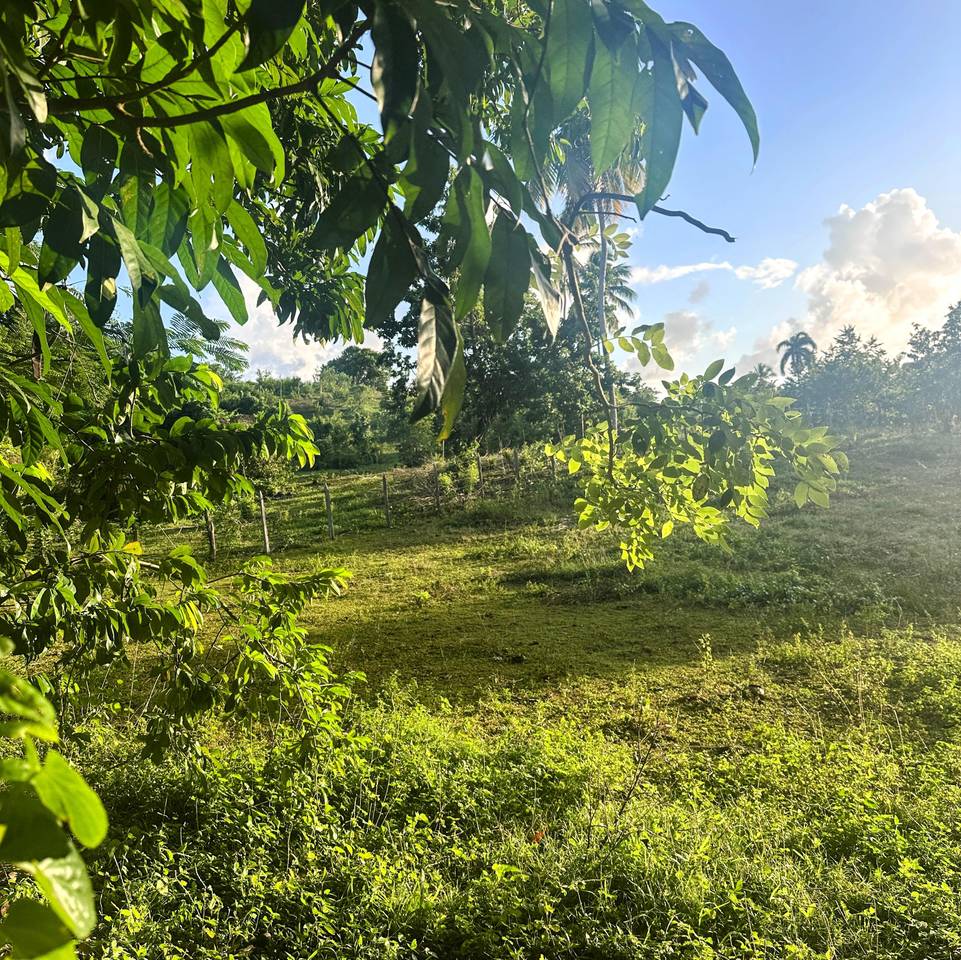 Plots for Sale in Las Galeras, Samaná | Land Near the Beach to Live or Invest 2