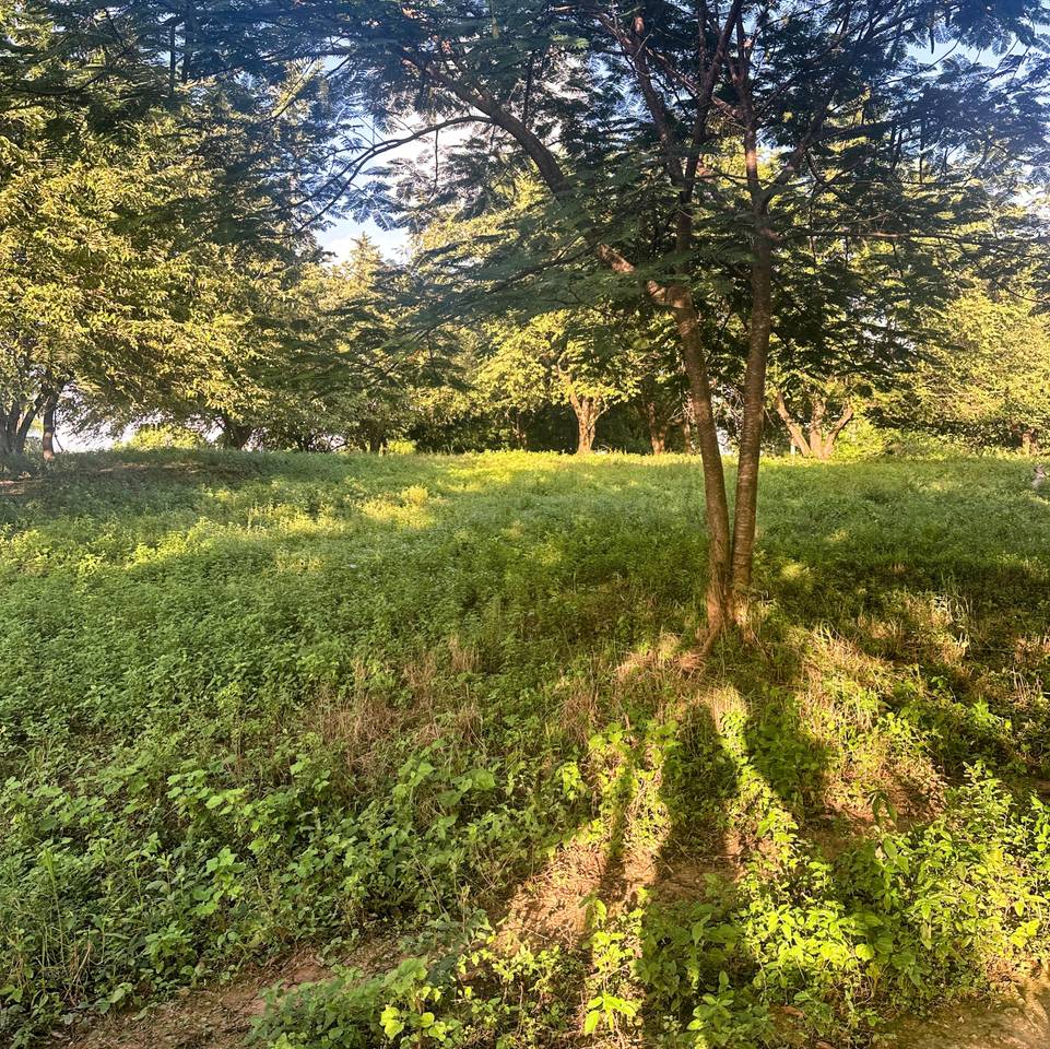 Plots for Sale in Las Galeras, Samaná | Land Near the Beach to Live or Invest 3