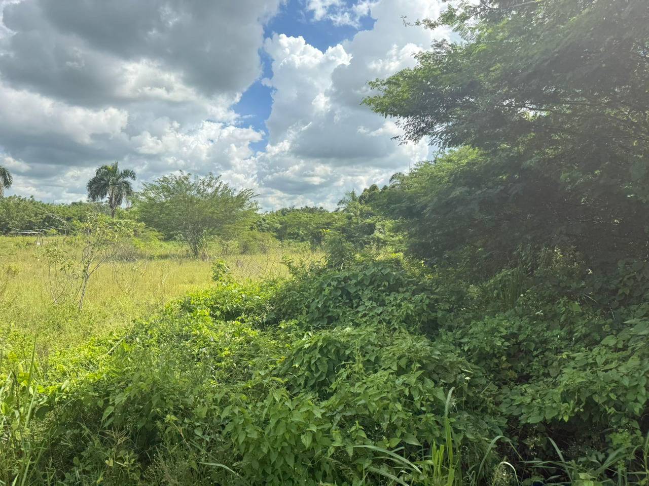 Land for Sale in Hato Viejo, San Antonio de Guerra – 5,082 m² (8.08 tareas) near Mella Highway 4