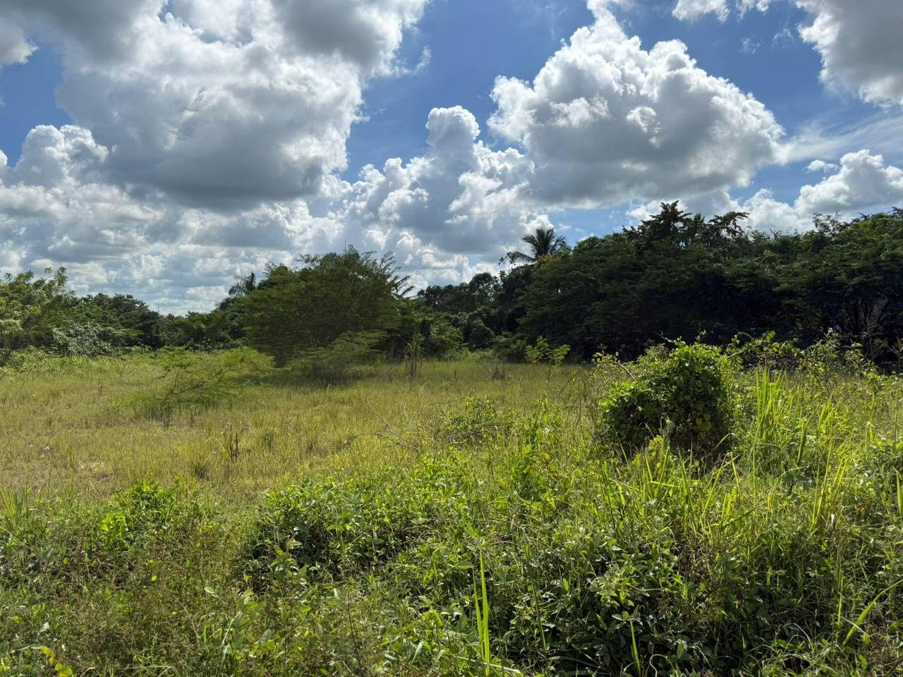 Land for Sale in Hato Viejo, San Antonio de Guerra – 5,082 m² (8.08 tareas) near Mella Highway 2