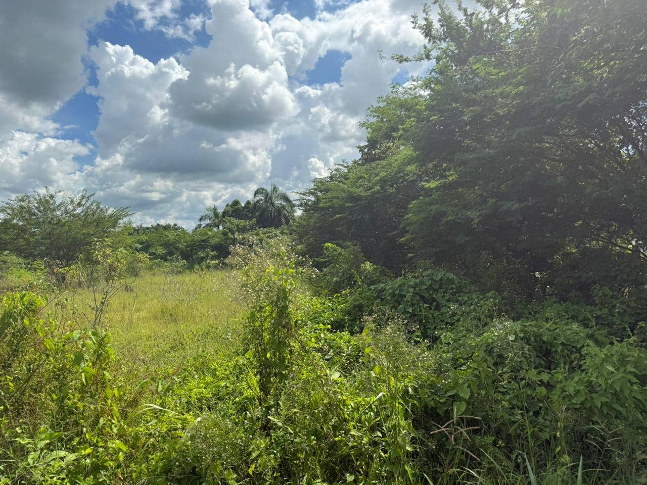 Land for Sale in Hato Viejo, San Antonio de Guerra – 5,082 m² (8.08 tareas) near Mella Highway 5