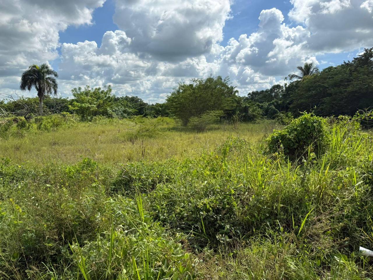 Land for Sale in Hato Viejo, San Antonio de Guerra – 5,082 m² (8.08 tareas) near Mella Highway 3