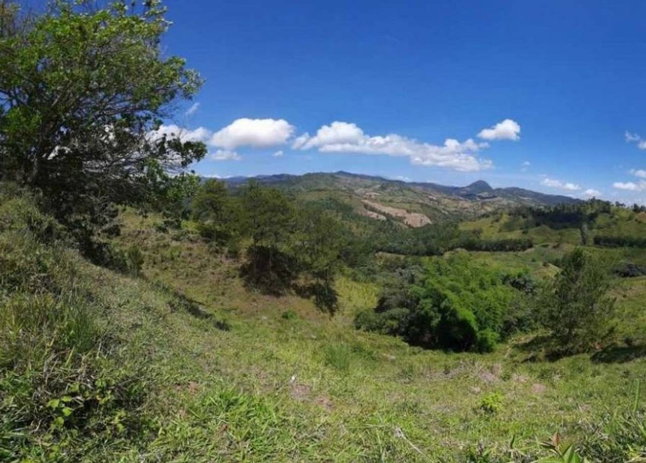 Venta de Productiva Finca con río en Jarabacoa