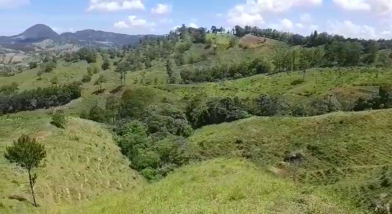 Venta de Productiva Finca con río en Jarabacoa