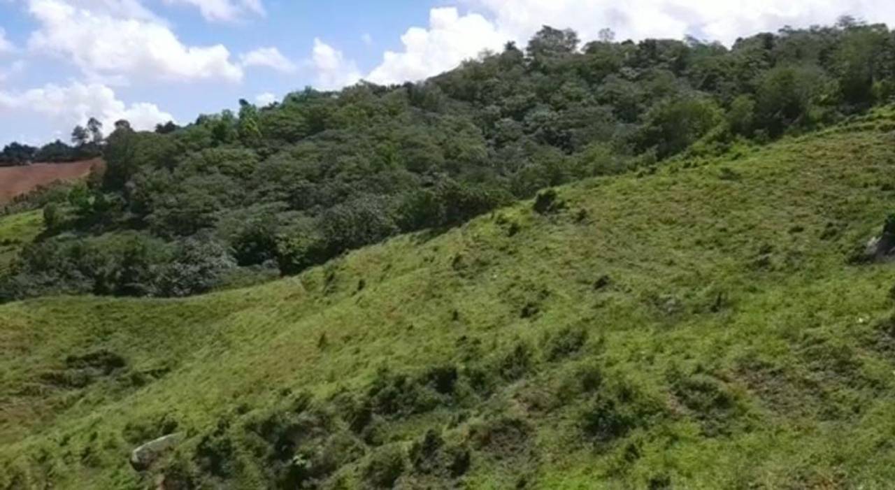 Venta de Productiva Finca con río en Jarabacoa